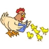 reading hen
